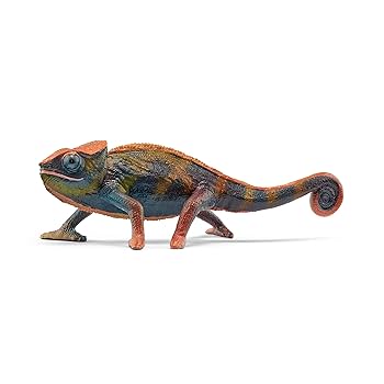 CHAMELEON LIFE 東京 amazarashi ① Amazon.co.jp: Chameleon Life Tokyo Amazarashi Hiromu Akita